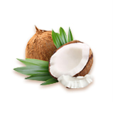 key-ingredients-carousel-coconut-oil