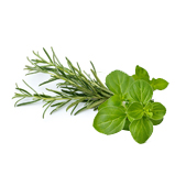 key-ingredients-carousel-herbs