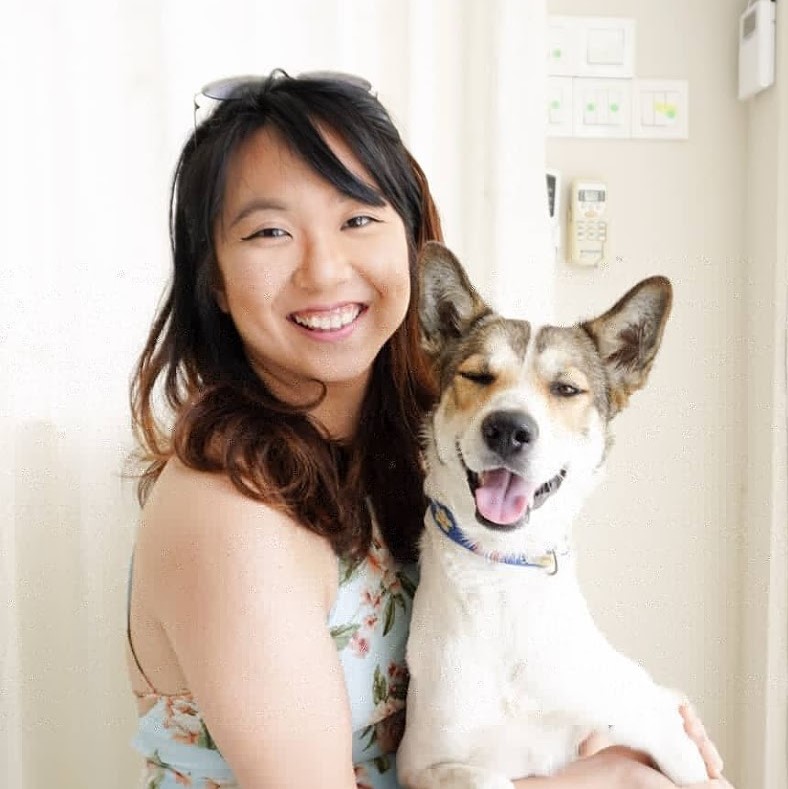 Can I Use Antibiotic Cream On My Dog