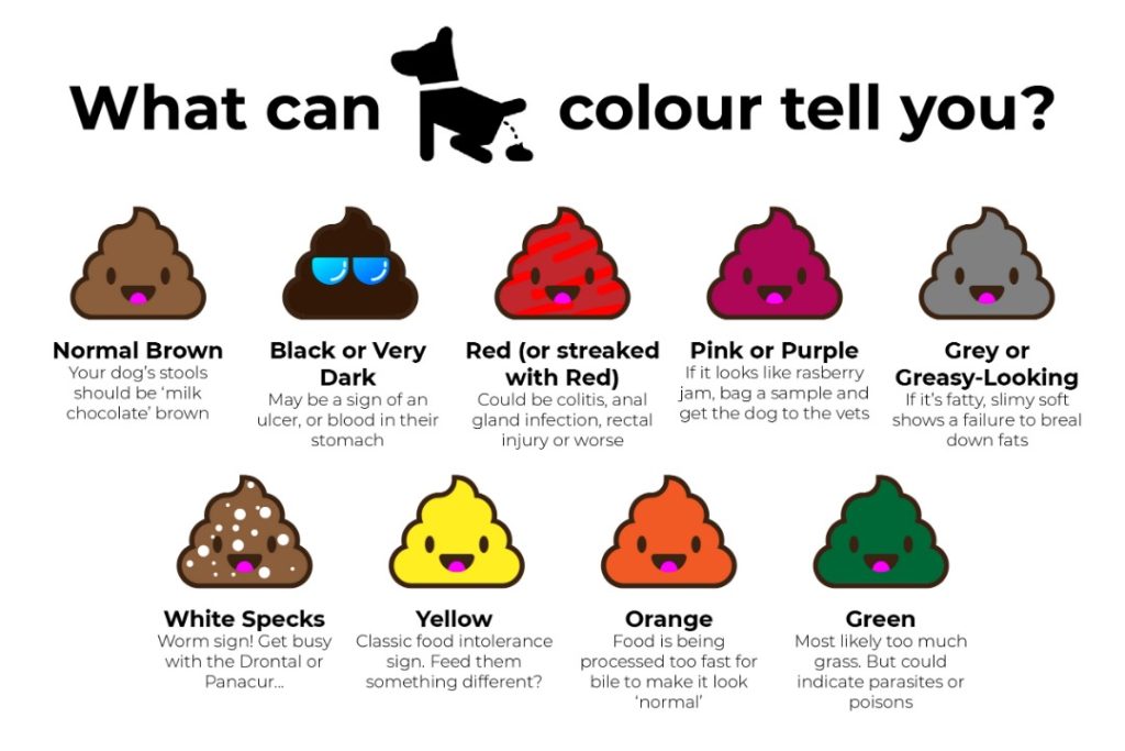 Color Of Your Poop Chart